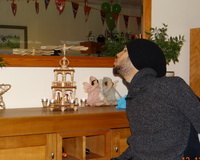 Sinterklaas 2013 14